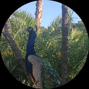 Meet your Posher, Luna